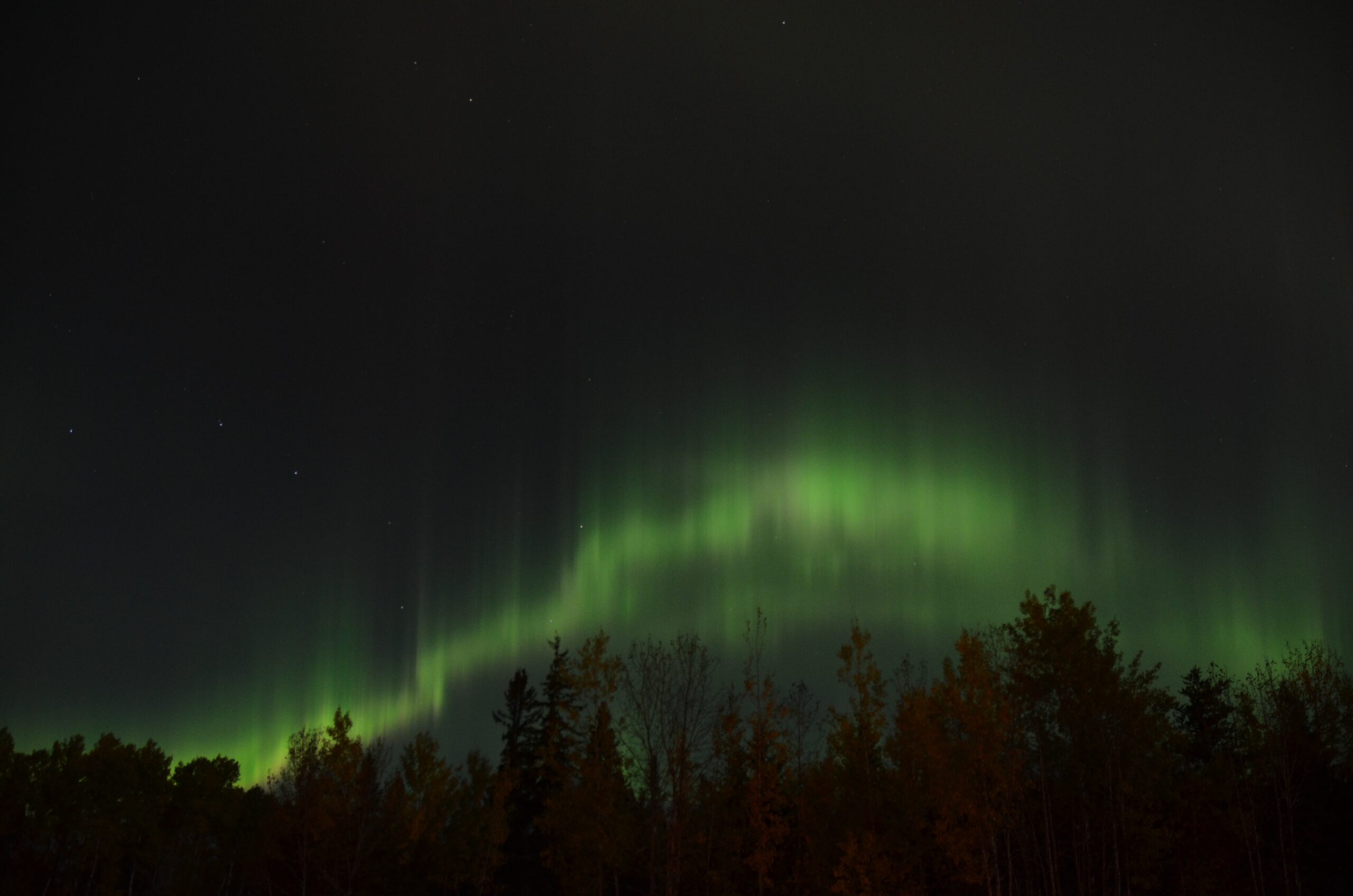 Aurora over a forest beneath a starry sky